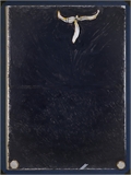 Emotion Still life 2